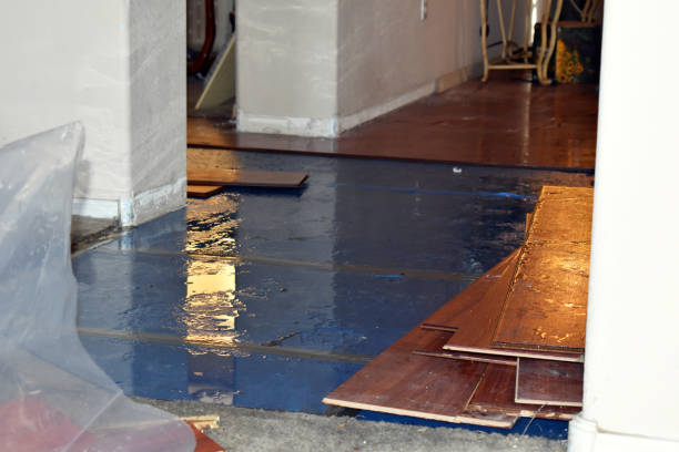 Professional Basement Flood Cleanup technician working in Kinde, MI